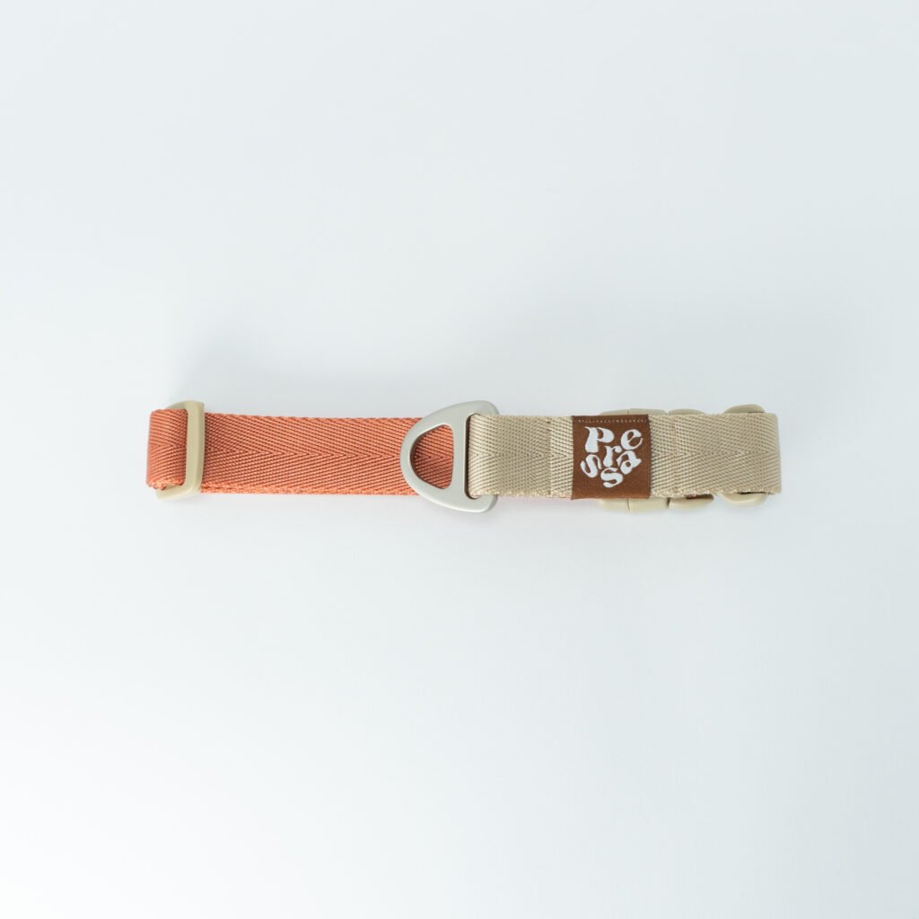 Collar Bicolor Coral