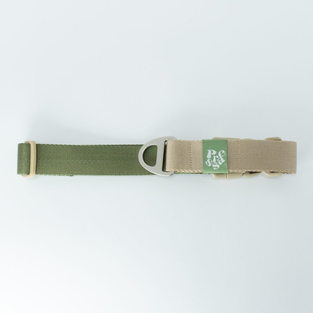 Collar Bicolor Verde