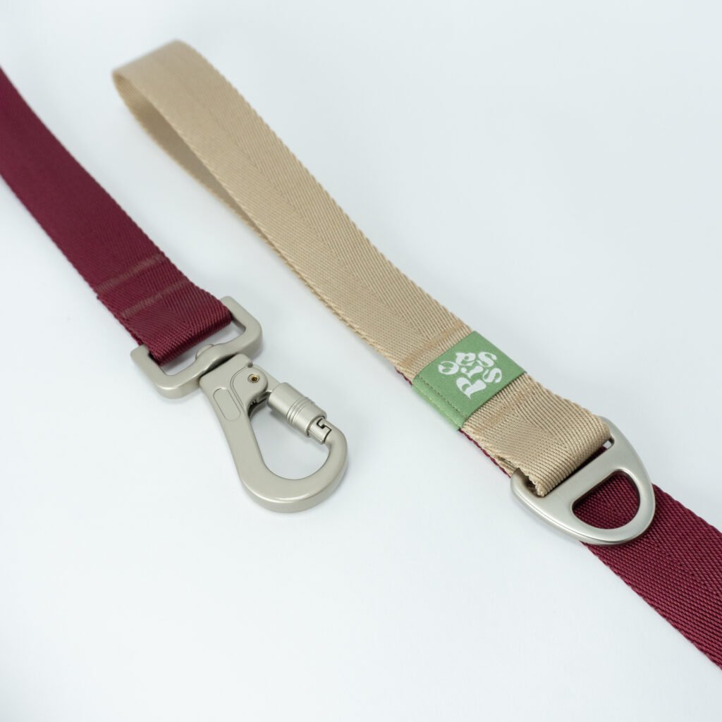 Correa Bicolor Granate