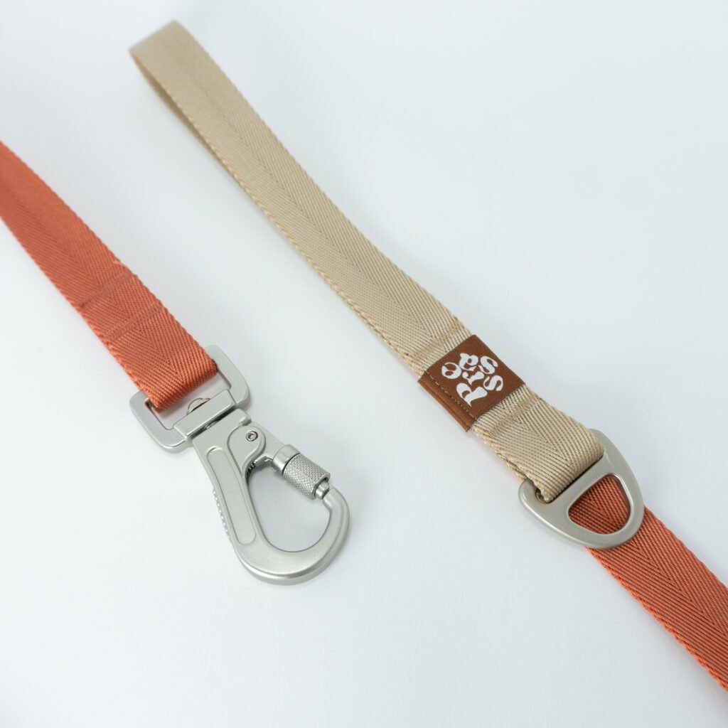 Correa Bicolor Coral